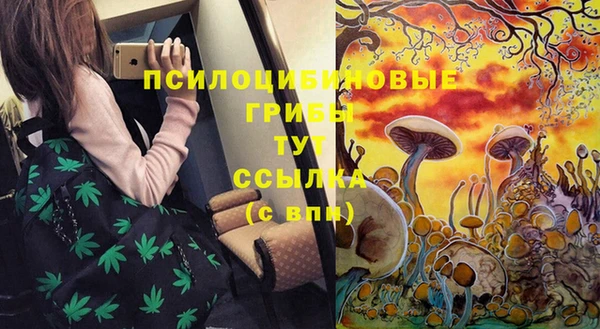 тгк Нефтегорск