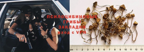 тгк Нефтегорск