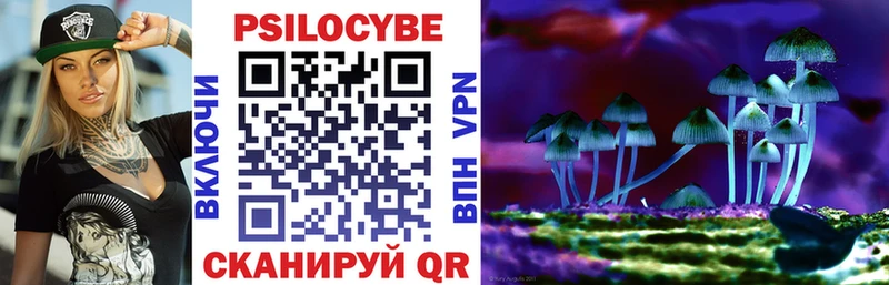 Купить закладки  Пролетарск  Псилоцибиновые грибы ЛСД 